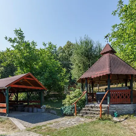 Nyaraló Buekki Hazikacska Kács